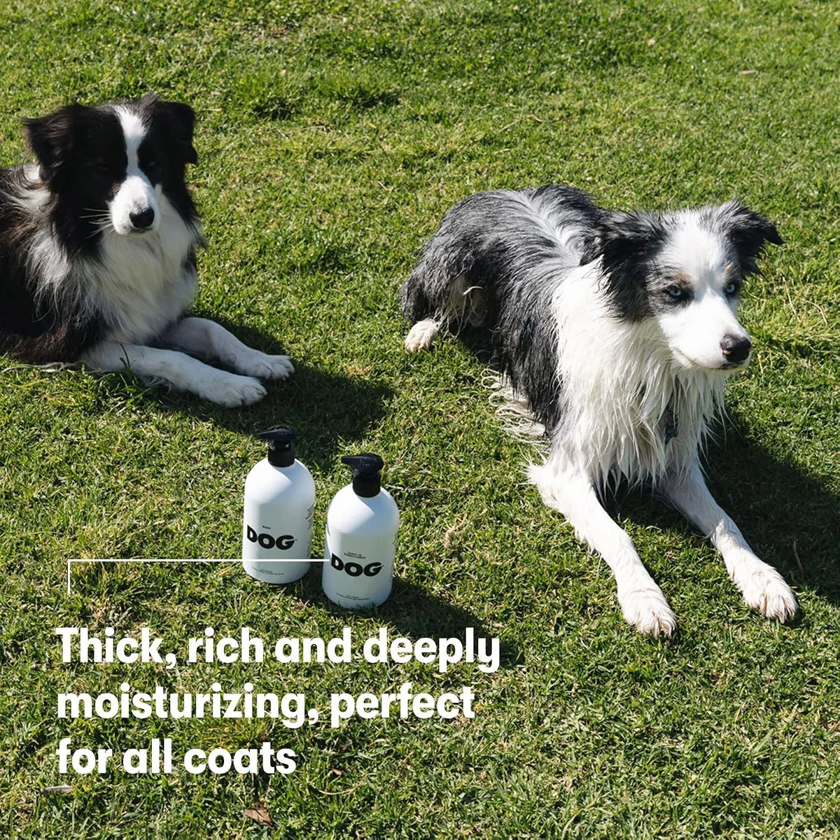 Botanical No-Rinse Dog Coat Conditioner