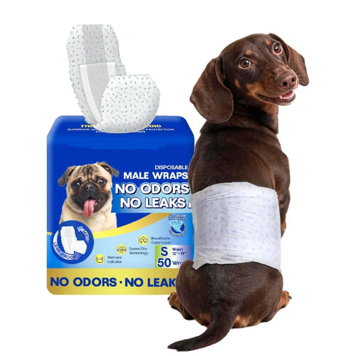 All-Absorb A26 Male Dog Wrap