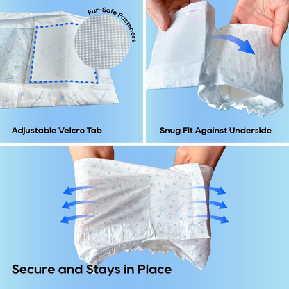 All-Absorb A26 Male Dog Wrap