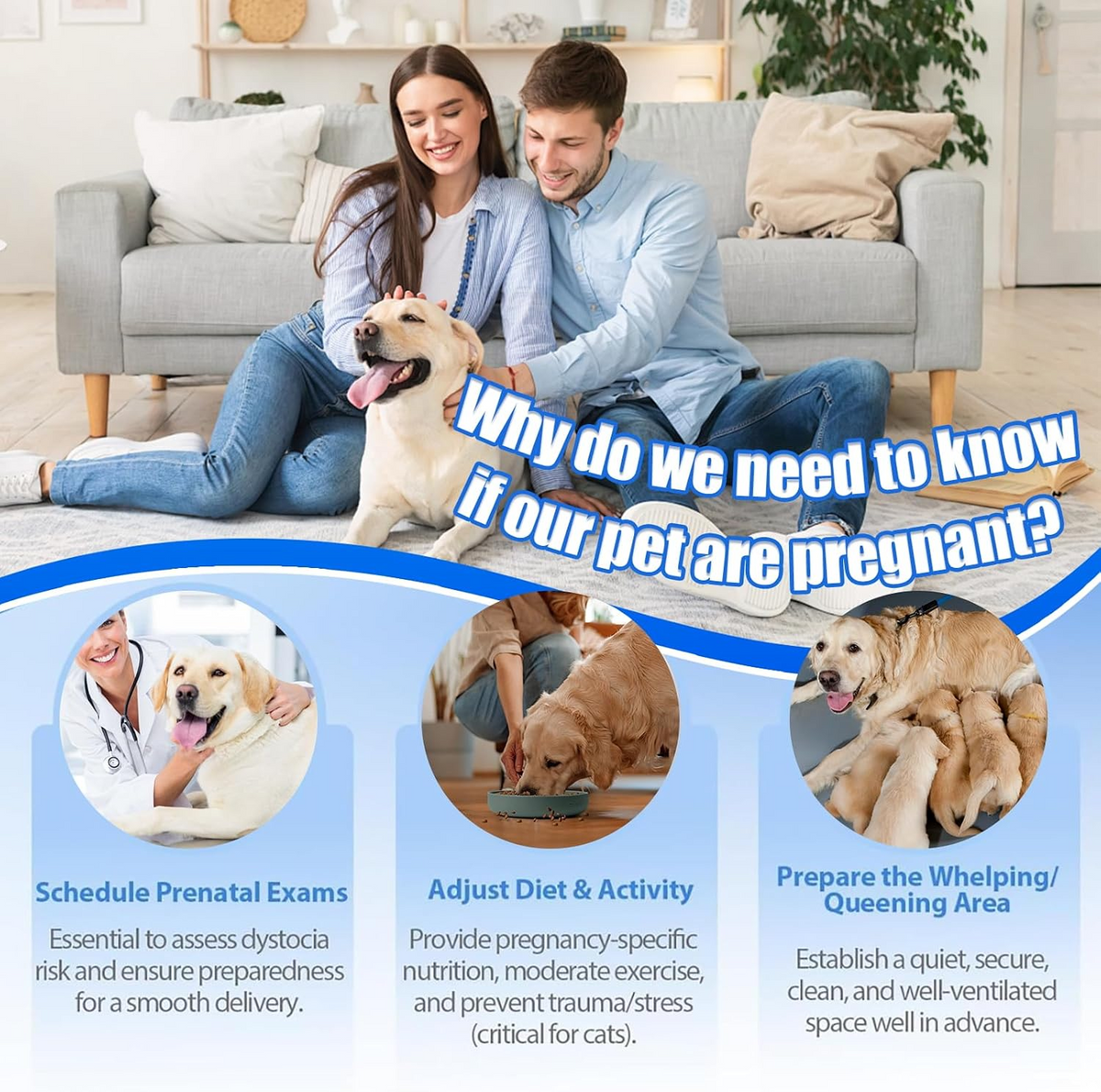 Dog & Cat Pregnancy Urine Test Kit