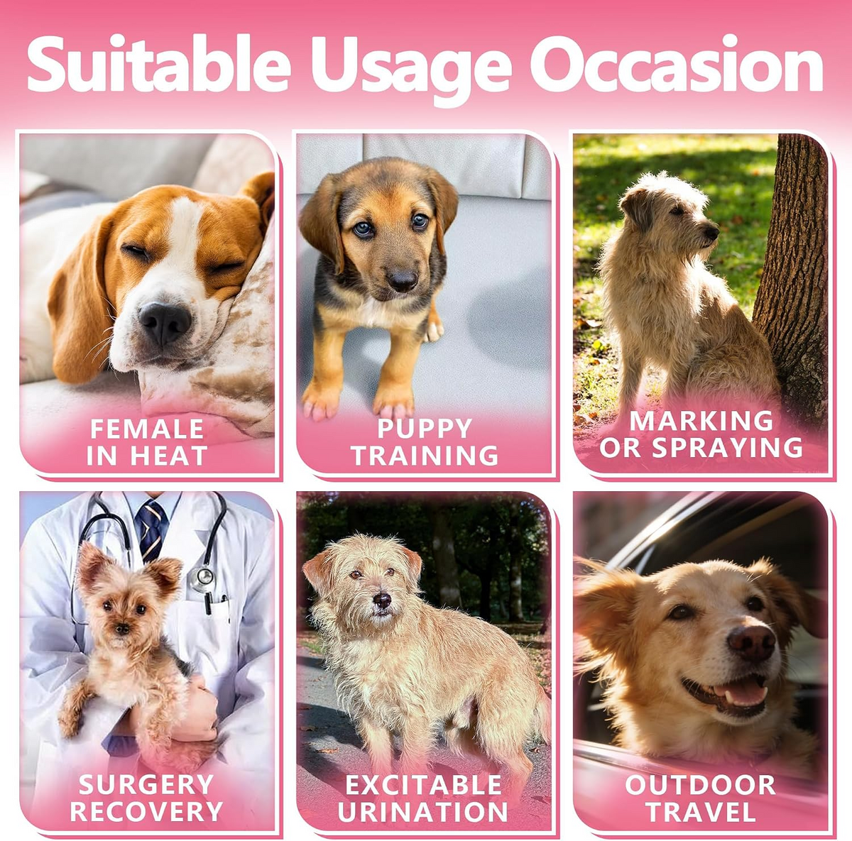 Disposable Female Dog Diapers