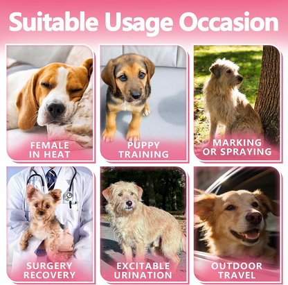 Disposable Female Dog Diapers